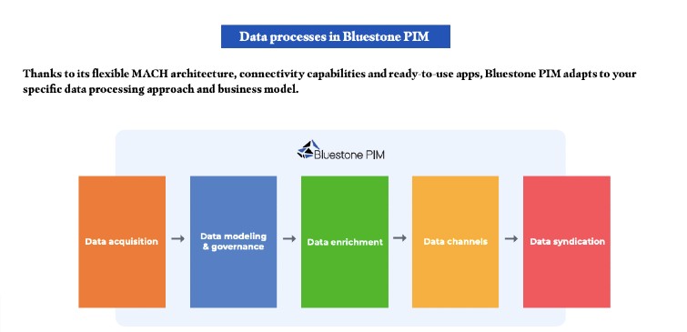 BluestonePIM-Technology-Overview-2022-pdf