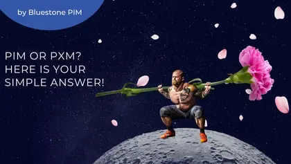 PIM Vs PxM: Difference Explained